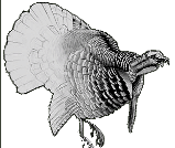 Eastern Wild Turkey Sponsorship level with Hunters Helping Hunters USA (HHH-USA)