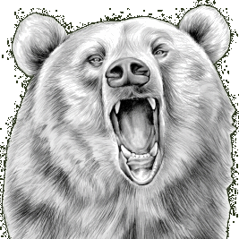 Grizzly Bear Sponsorship Level with Hunters Helping Hunters USA (HHH-USA)